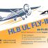 FlyIn in Gelnhausen